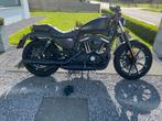 Harley Davidson Iron 883, 2 cylindres, Particulier, Éclairage LED, 883 cm³