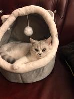 huis, hoeve of boerderij voor huurkoop gezocht, Immo