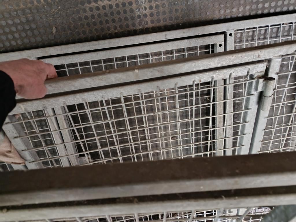 Séparation pour courses de chiens pour une camionnette : 225, Enlèvement, Utilisé