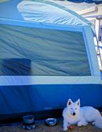 Tent aprenaz base, Enlèvement