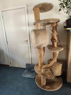 GRATIS GROTE KRABPAAL, Enlèvement, Griffoir