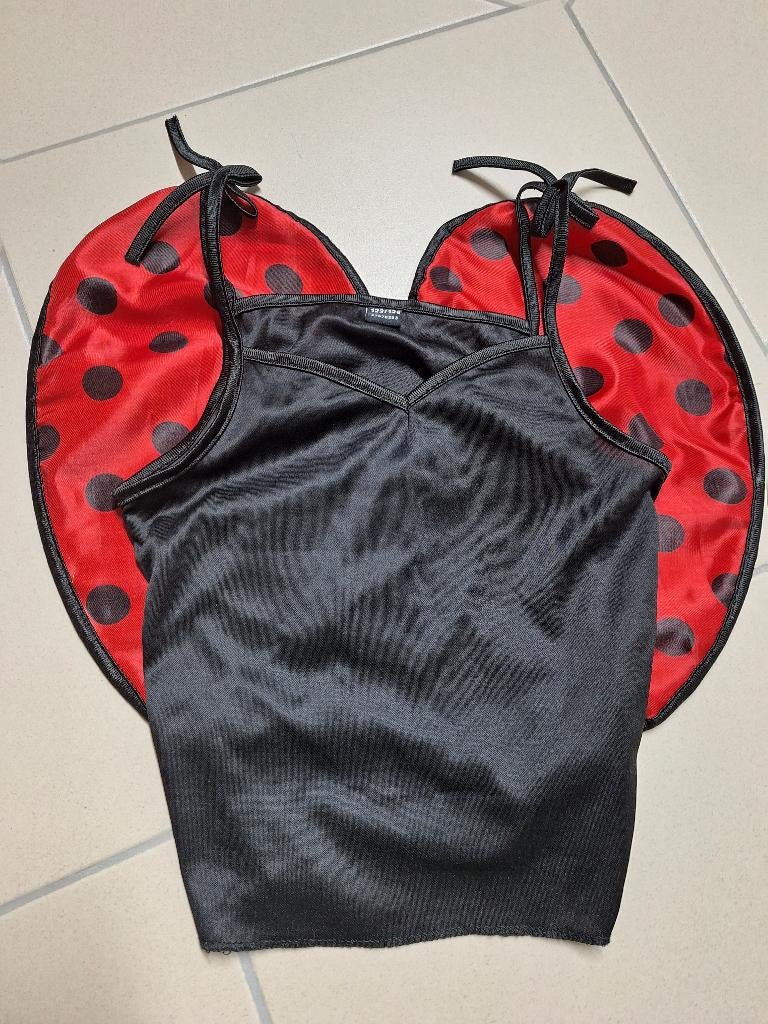 Verkleedkleding Lieveheersbeestje, Ophalen of Verzenden, Gebruikt, 122 t/m 128, Jongen of Meisje