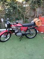 Zeer mooie flandria van 1981, Ophalen of Verzenden