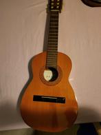 Gitaar, Muziek en Instrumenten, Ophalen