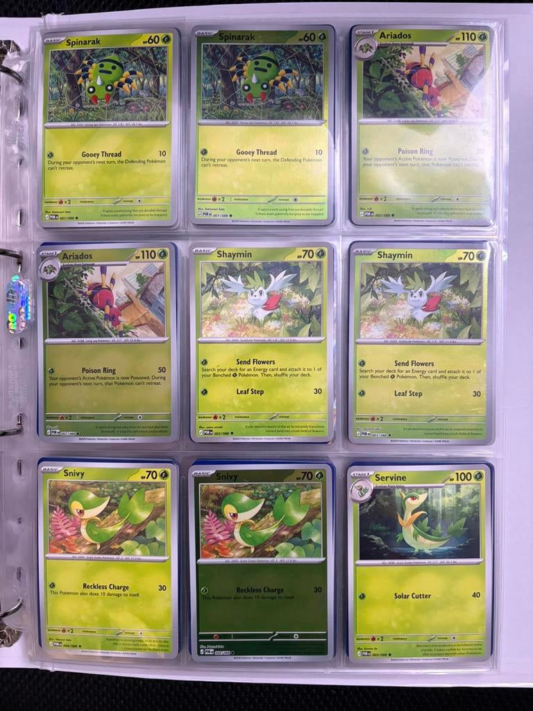 Perfect Order Master Base Set + Hits!, Hobby en Vrije tijd, Verzamelkaartspellen | Pokémon, Ophalen of Verzenden, Nieuw, Meerdere kaarten