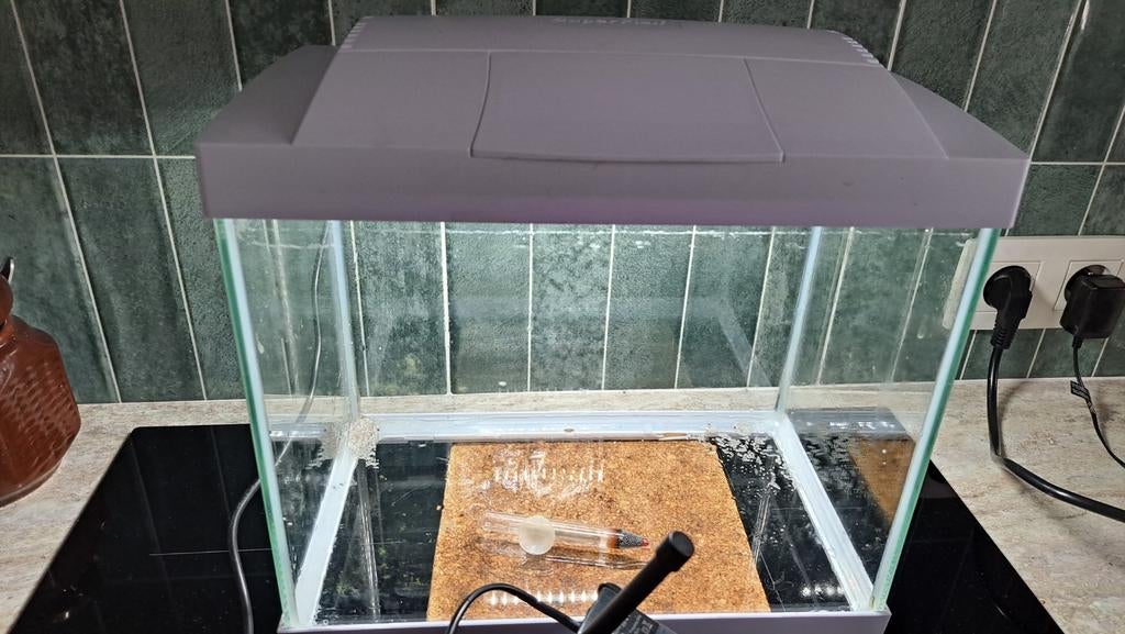 Aquarium superfish 31x18x26cm. Met thermometer en filter, Enlèvement