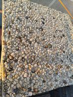 Terras tegels, Tuin en Terras, Ophalen