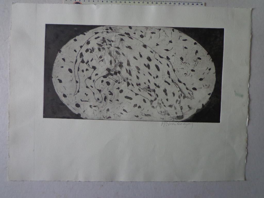ets "Dalmatiër op een gevlekt tapijt" door M. Verkoeyen, Antiek en Kunst, 2000 tot heden, Ets, Ophalen of Verzenden, Flora en Fauna