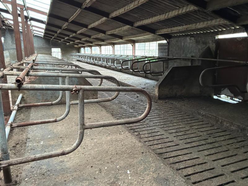 Cubicles, Animaux & Accessoires, Box & Pâturages