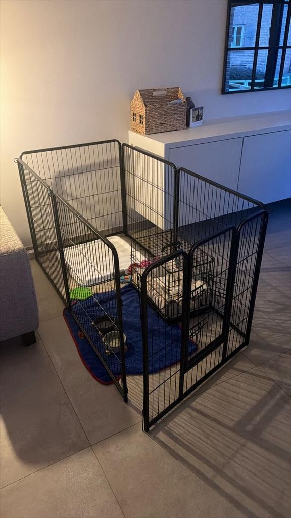 Puppy ren ,bench en trainingspad, Dieren en Toebehoren, Hondenhokken, Ophalen