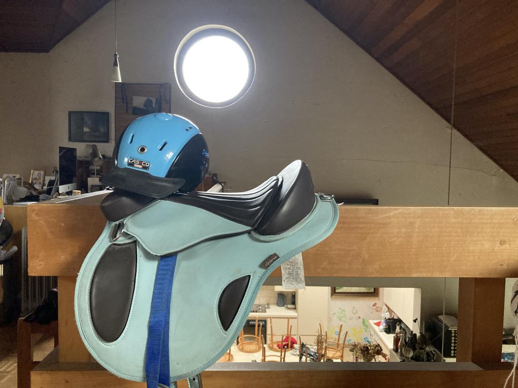 selle préscolaire, Enlèvement, Comme neuf, Autres espèces