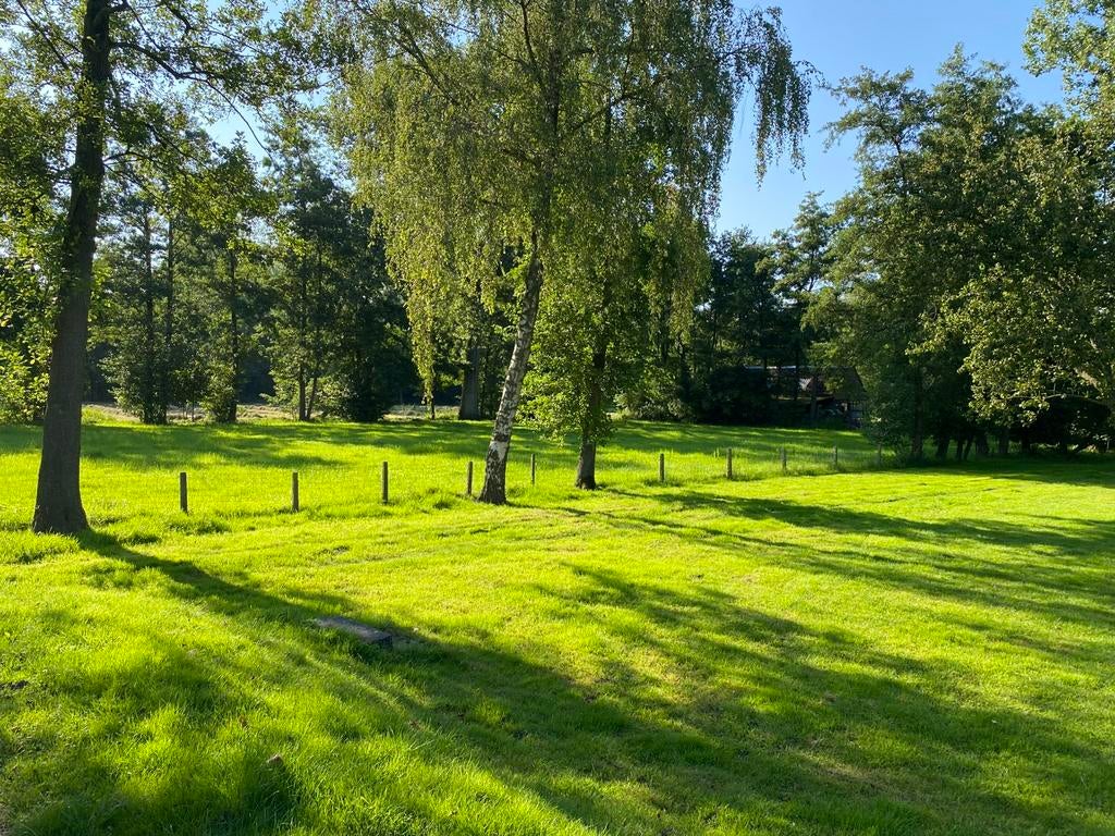 Zeer mooi hooi in kleine pakken, Pâturage