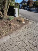 Homme polyvalent, Bricolage & Construction, Enlèvement ou Envoi