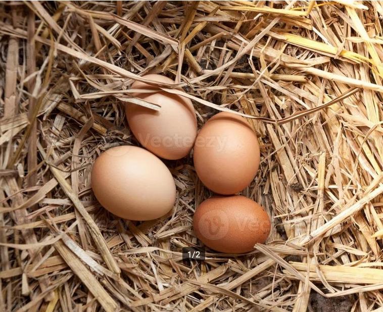 Lekkere natuur eieren te koop, Ophalen