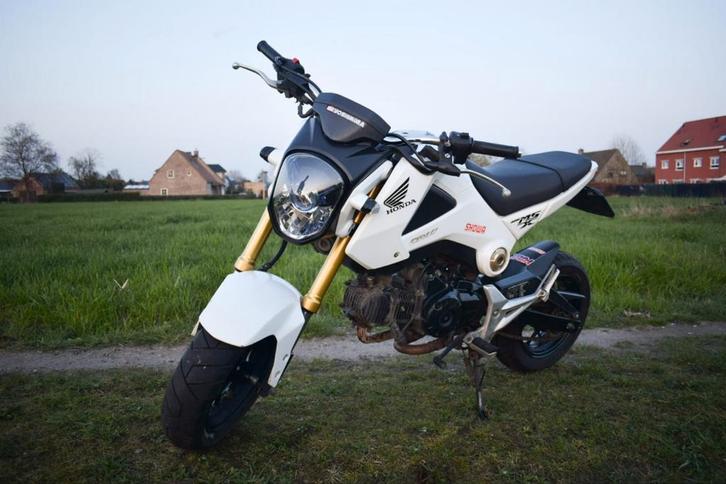 Belle Honda Msx 125cc (2014) avec accessoires, Motos, Motos | Honda, Particulier, Autre, jusqu'à 11 kW, 1 cylindre, Échappement sport