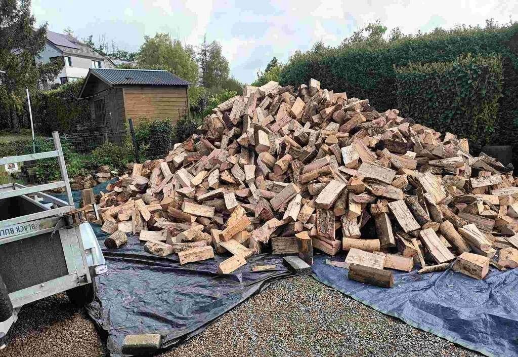 Bois chauffage hêtre charme vrac,Box/Palette Payer livraison, 6 m³ ou plus, Envoi, Autres essences de bois, Bûches