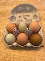 Verse eitjes 2€ voor 12 — ganzeneieren 1 € st., Enlèvement