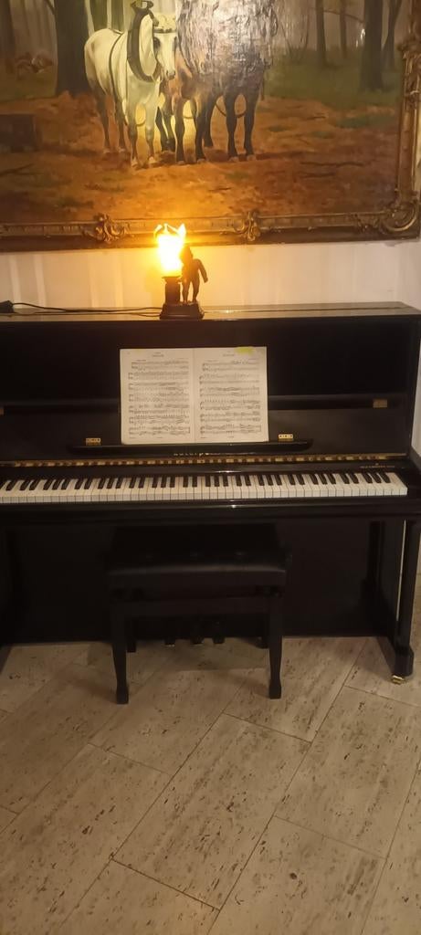 Mooie Euterpe by BECHSTEIN, Muziek en Instrumenten, Piano's, Ophalen of Verzenden, Piano