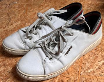 Tommy Hilfiger beschikbaar voor biedingen