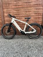 Speed pedelec Opium S serie c1.9, Fietsen en Brommers, Elektrische fietsen, Ophalen, Zo goed als nieuw, Overige merken