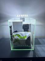 Aquarium 10 litres complet, Animaux & Accessoires, Enlèvement, Comme neuf