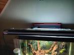 Aquariumverlichting, Dieren en Toebehoren, Ophalen, Nieuw, Verlichting of Verwarming