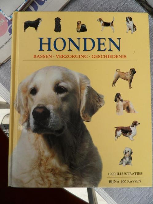 Honden rassen verzorging geschiedenis, Boeken, Dieren en Huisdieren, Honden, Ophalen of Verzenden