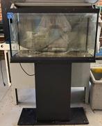 Aquarium ferplast 120 litres, Ophalen, Gebruikt, Leeg aquarium