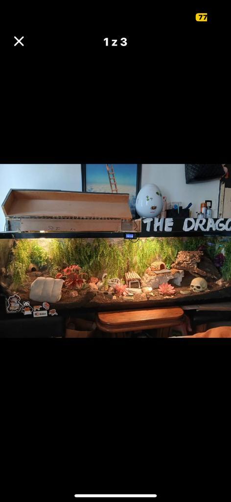 Terrarium de 2 mètres, Animaux & Accessoires, Reptiles & Amphibiens, Autres espèces, 0 à 2 ans, Avec terrarium