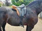 17 inch freeform boomloos zadel, Dieren en Toebehoren, Ophalen, Zo goed als nieuw