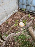 Verschillende betonnen bloembakken, Ophalen, Gebruikt