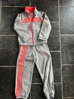 Jogging Adidas, Kinderen en Baby's, Ophalen, Gebruikt, Maat 116