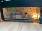 Terrarium met ingebouwde grot,  lampen en warmtelamp, Dieren en Toebehoren, Reptielen en Amfibieën | Toebehoren, Ophalen, Zo goed als nieuw