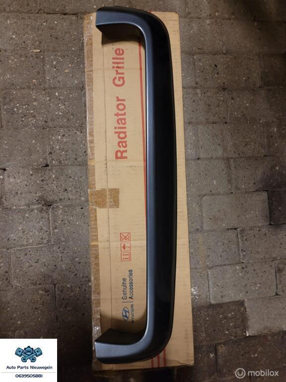 Grille lijst origineel Hyundai Santa Fe I 08380-26100, Auto-onderdelen, Carrosserie, Hyundai, Nieuw, Ophalen of Verzenden