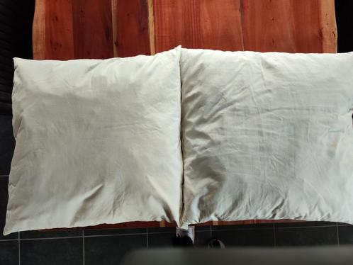 2 Ganzendonshoofdkussens, Huis en Inrichting, Slaapkamer | Beddengoed, Zo goed als nieuw, Ophalen of Verzenden
