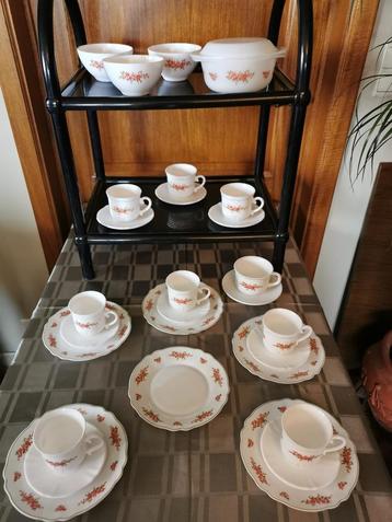 Arcopal servies Bagatelle