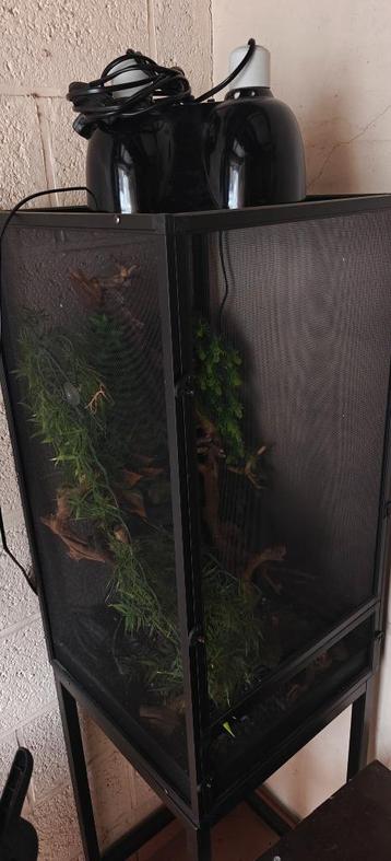 Terrarium grillagé + pied, Enlèvement, Comme neuf, Terrarium ou Paludarium