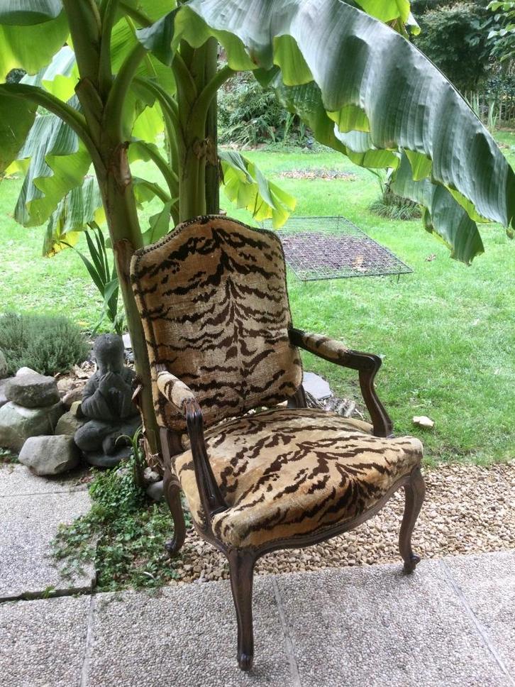Barok Franse Fauteuil “ Tijgermotief “ te koop - Ecocheques, Huis en Inrichting, Fauteuils, Gebruikt, Hout, Ophalen