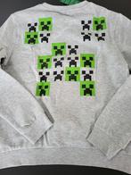 Nieuwe Minecraft trui lichtgrijs 140/146 10y, Kinderen en Baby's, Kinderkleding | Maat 146, Nieuw, Trui of Vest, Jongen of Meisje