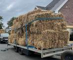Kleine balen stro, Dieren en Toebehoren, Ophalen, Nieuw