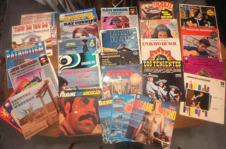 Vinyles 33 et 45t, CD & DVD, Vinyles | Autres Vinyles, Utilisé, Enlèvement