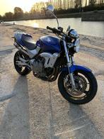 Honda CB 600 F Hornet (2000), Motos, Motos | Honda, 600 cm³, Plus de 35 kW, Particulier, 4 cylindres