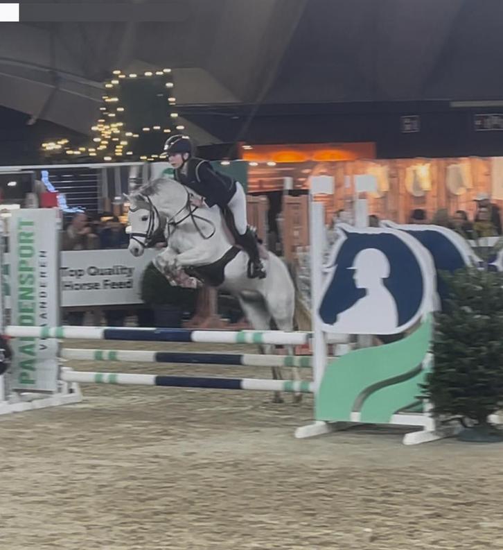 Uitzonderlijke sport C-pony, Animaux & Accessoires, Poneys