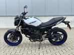 SUZUKI SV650, Motos, Motos | Suzuki, Naked bike, 2 cylindres, Plus de 35 kW, 645 cm³