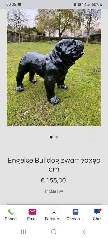 Engelse buldog zwart 70cm hoog 90cm lang, Enlèvement, Neuf