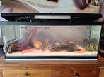 Aquarium 100x40x30, Dieren en Toebehoren, Ophalen, Zo goed als nieuw, Leeg aquarium