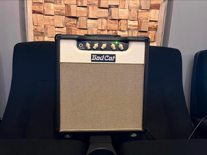 Bad Cat Alley Cat Combo 1x12 2008 incl. Flightcase, Musique & Instruments, Amplis | Basse & Guitare, Comme neuf, Guitare, Moins de 50 watts