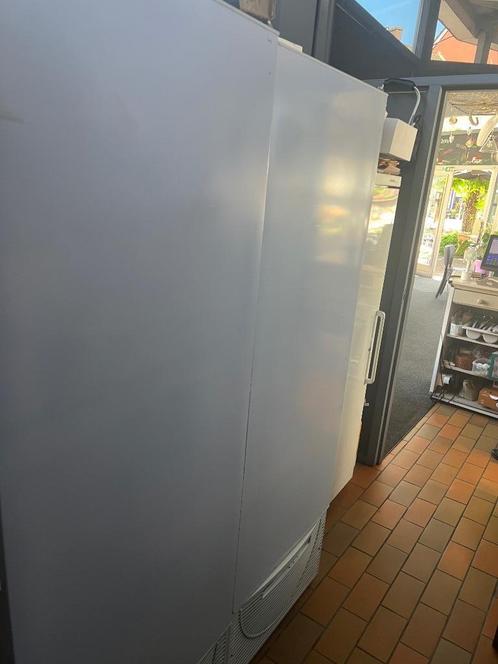 Grote staande diepvries 500 liter vrieskast vriezer  Rekken, Elektronische apparatuur, Vriezers en Diepvrieskisten, Gebruikt, Vrijstaand