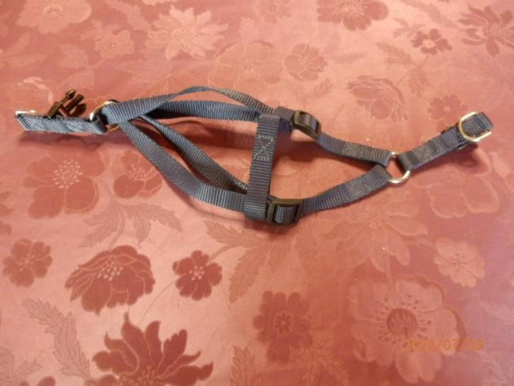(3) -harnais bleu petit chien, Animaux & Accessoires, Accessoires pour chiens, Comme neuf, Enlèvement ou Envoi