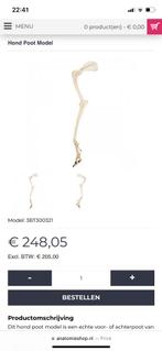Anatomisch model honden poot (echt met nagels), Ophalen, Nieuw
